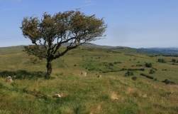 Cae Du Cairn