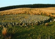 Brenig 51