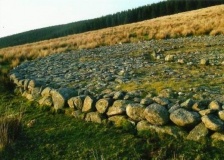 Brenig 51
