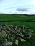 Brenig 46