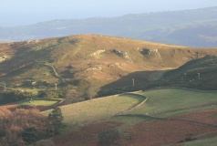 Llyn-y-Wrach