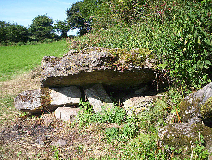 Coity