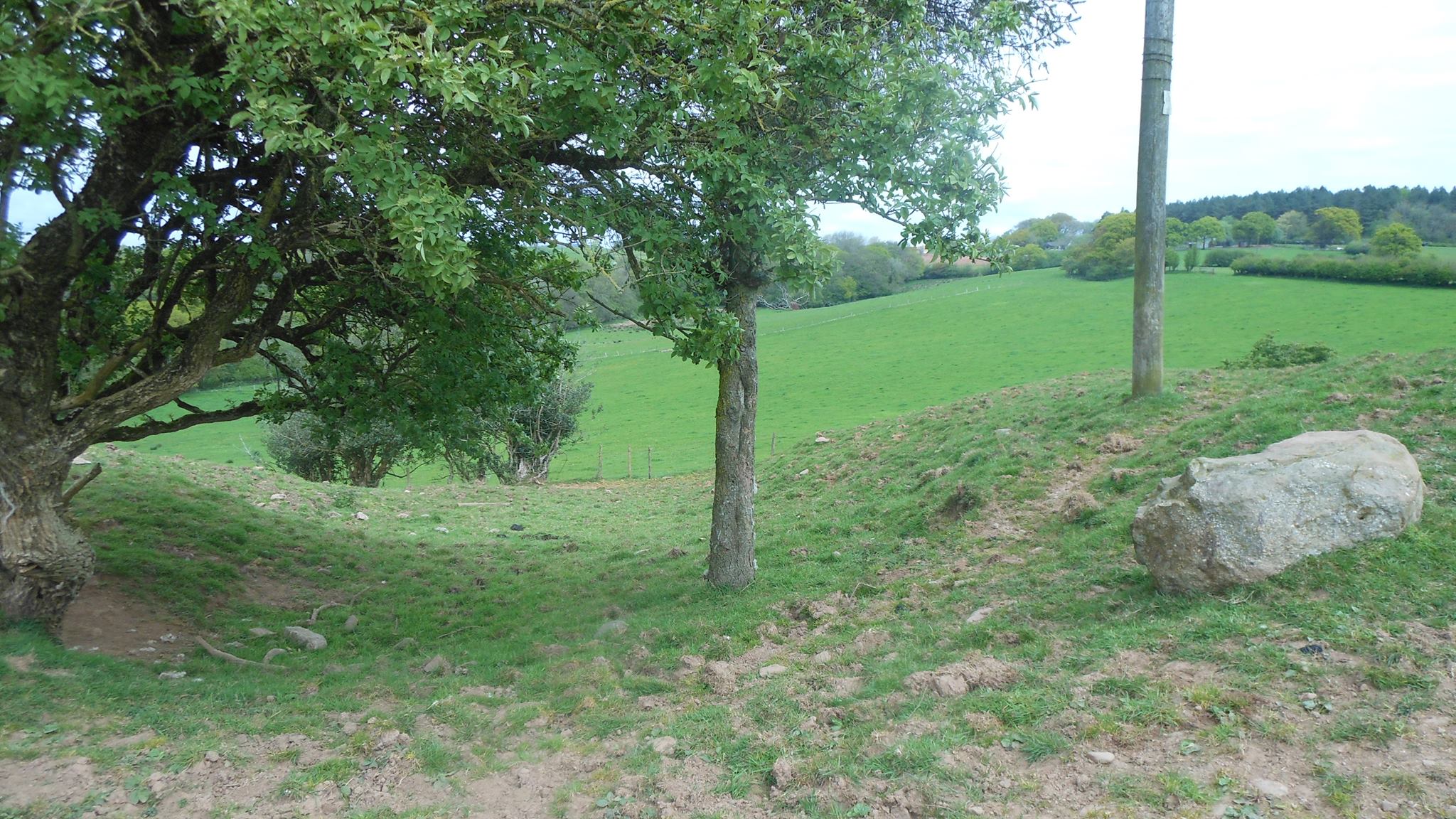 Graig Llwyn Iron Age Fort