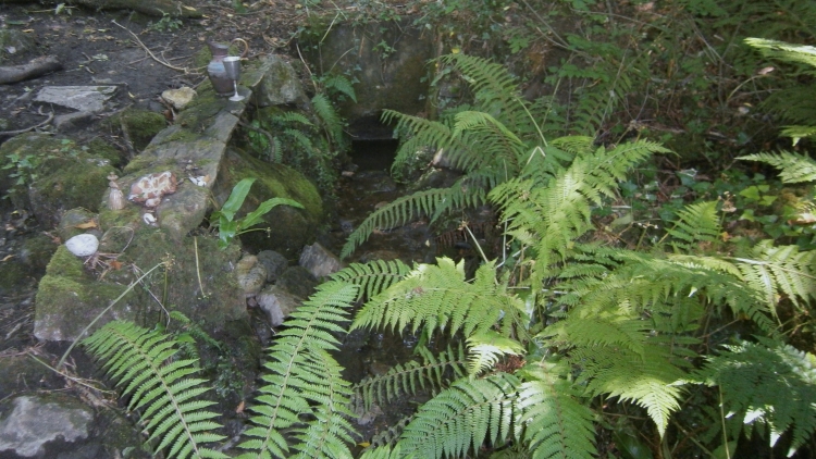 St Peters's Well