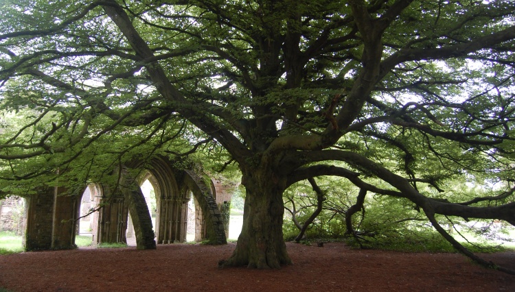 Margam Stones Museum