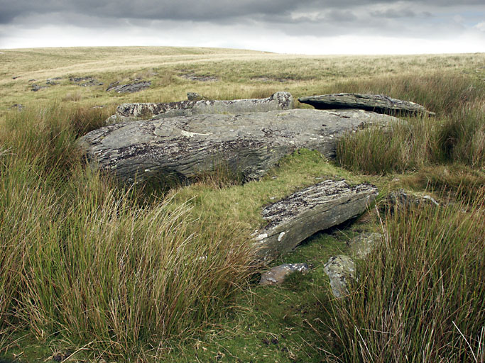 Carn Llechart Chambered Tomb