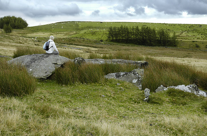 Click for the gallery page to add comments and vote (PID:34762) Carn Llechart Megalithic Complex