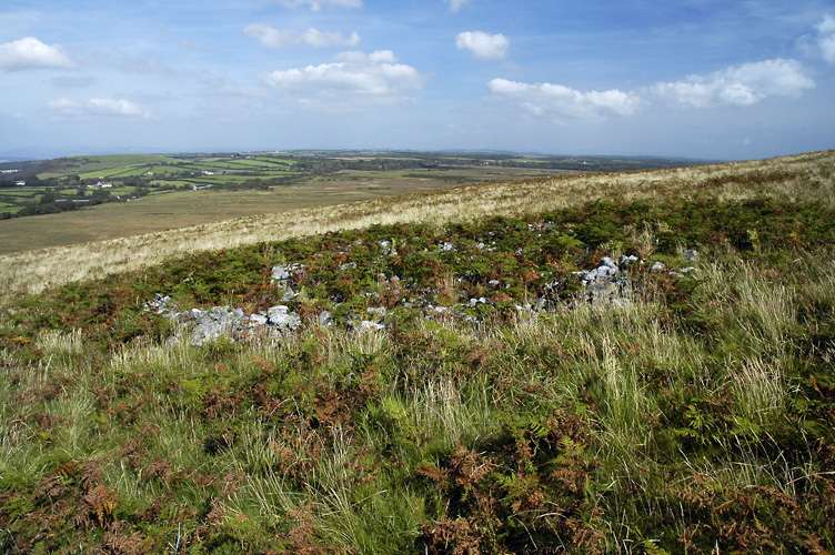 Click for the gallery page to add comments and vote (PID:94154) Cefn Bryn Cairn 1