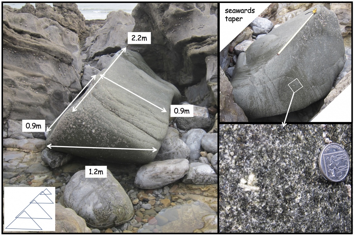 Click for full size image of Mumbles Erratic (PID:237317) Mumbles Erratic