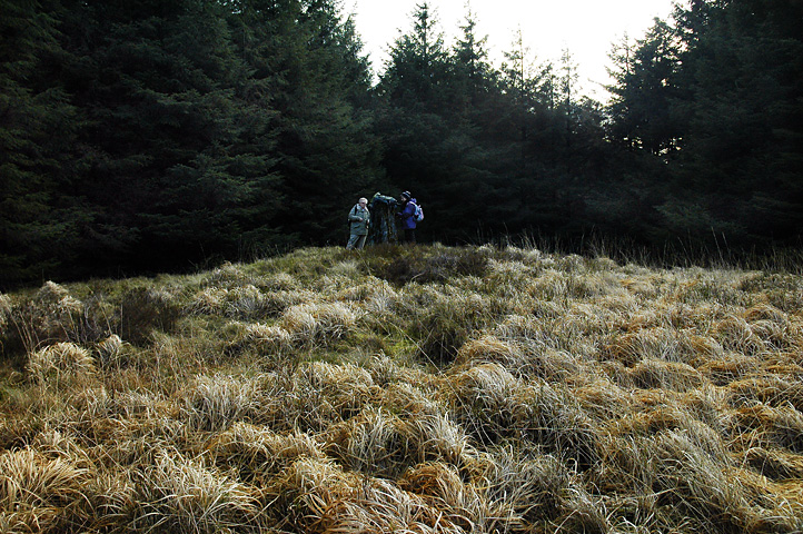 Click for the gallery page to add comments and vote (PID:86162) Mynydd Blaengwynfi Cairn