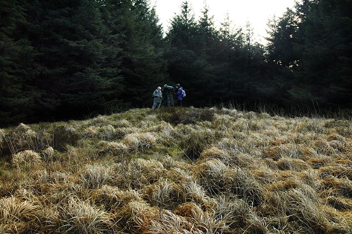 Mynydd Blaengwynfi Cairn