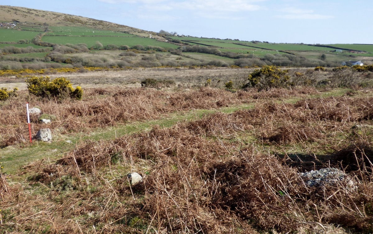 White Moor (Hillend)