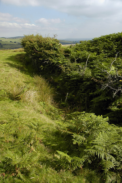 Site in Mid Glamorgan Wales

Mynydd y Gaer
The Northern bank/ditch is now a field boundary - and also plagued by midges.
 