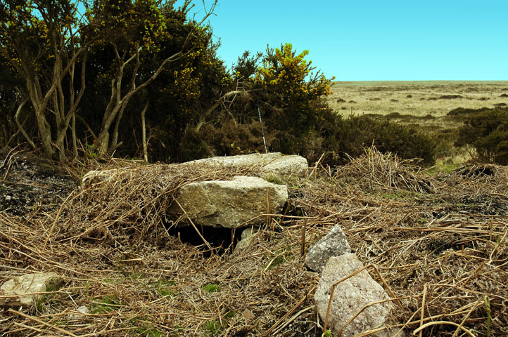 Click for the gallery page to add comments and vote (PID:38398) Nicholaston Long Cairn