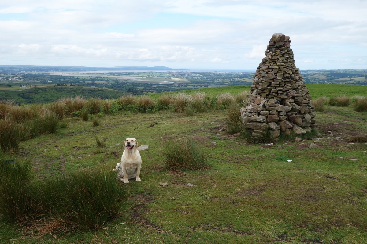 Click for the gallery page to add comments and vote (PID:218604) Graig Fawr Ring Cairn
