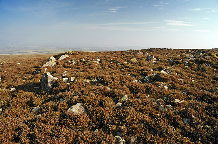 Click for the gallery page to add comments and vote (PID:104548) Rhossili Down Cairn 1