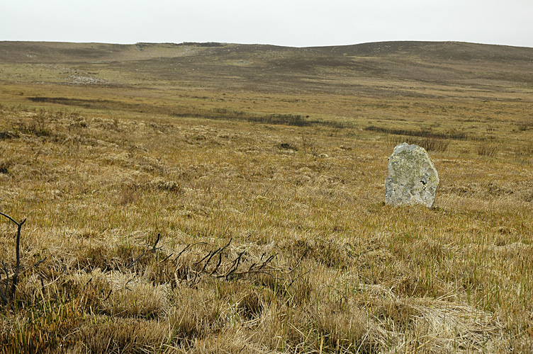 Click for the gallery page to add comments and vote (PID:107099) Rhossili Down Standing Stone
