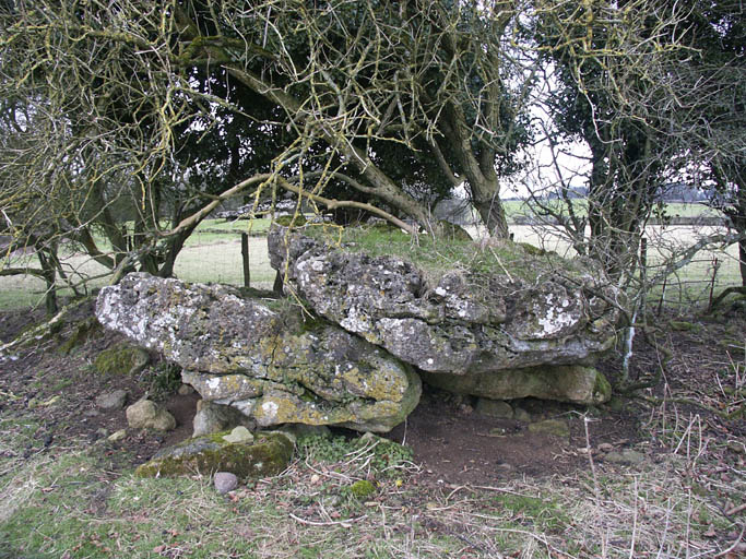 Click for the gallery page to add comments and vote (PID:5440) Tinkinswood outliers