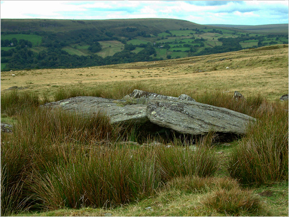 Carn Llechart Chambered Tomb