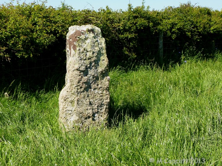 Burry Lesser Standing Stone (Menhir) : The Megalithic Portal and ...