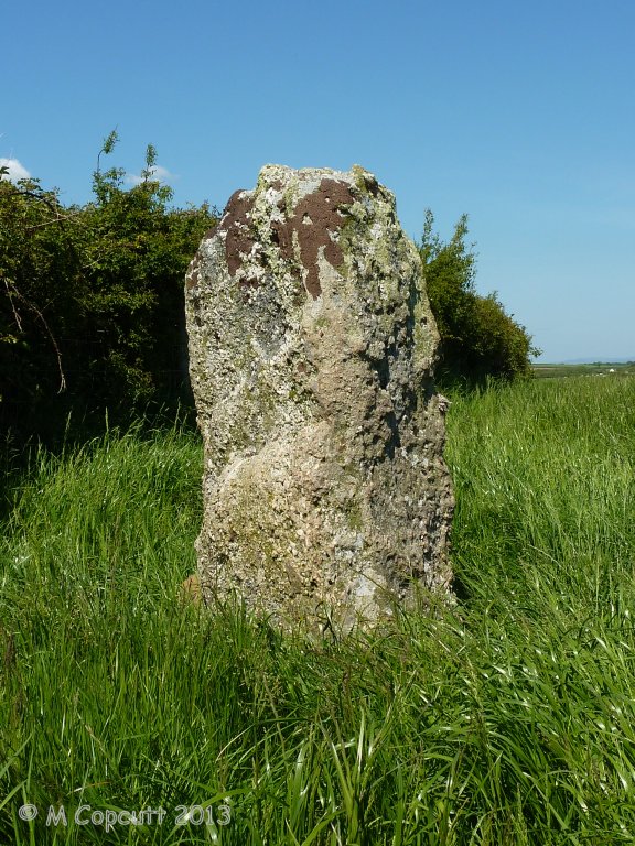 Burry Lesser Standing Stone (Menhir) : The Megalithic Portal and ...