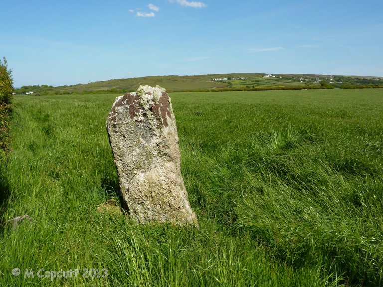 Burry Lesser Standing Stone (Menhir) : The Megalithic Portal and ...