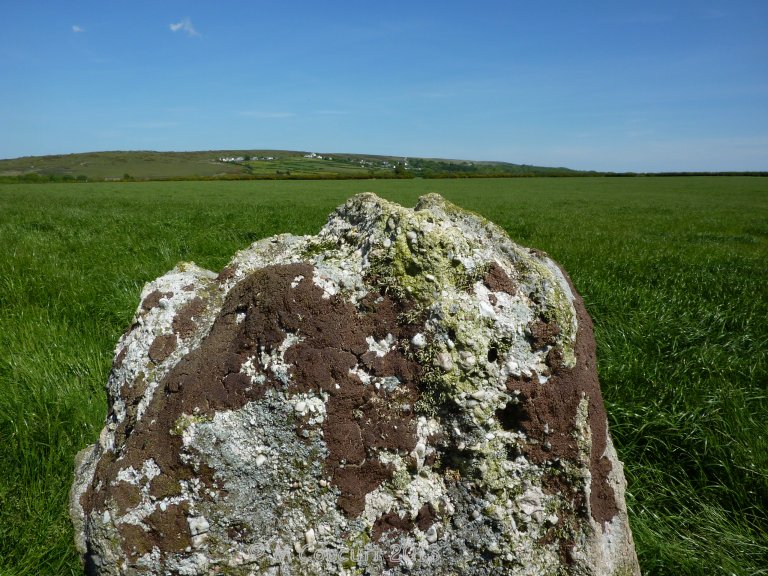 Burry Lesser Standing Stone (Menhir) : The Megalithic Portal and ...