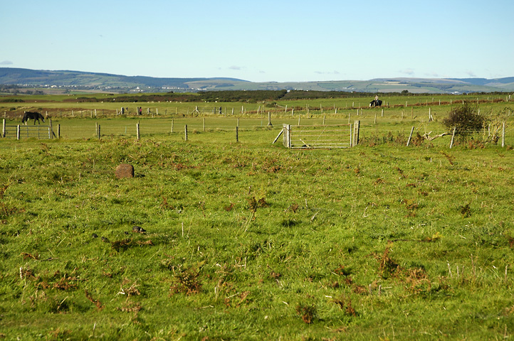 Click for the gallery page to add comments and vote (PID:98062) Heol y Mynydd Round Barrow