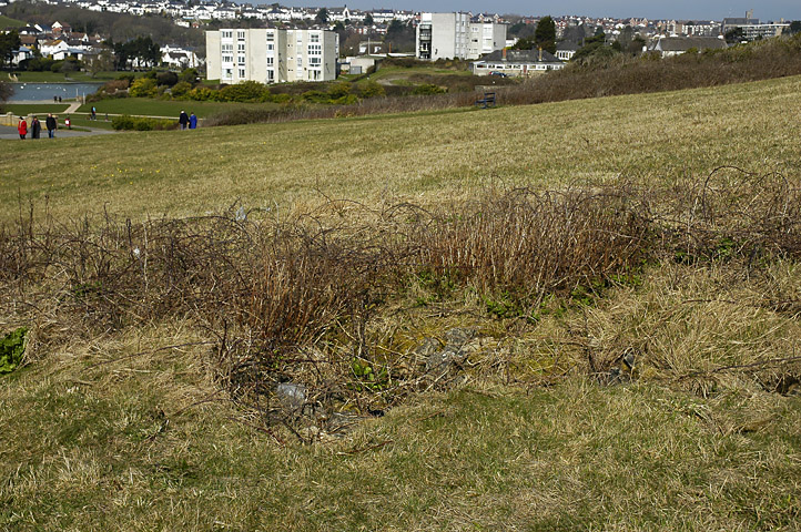 Click for the gallery page to add comments and vote (PID:74525) Cold Knap Round Barrow