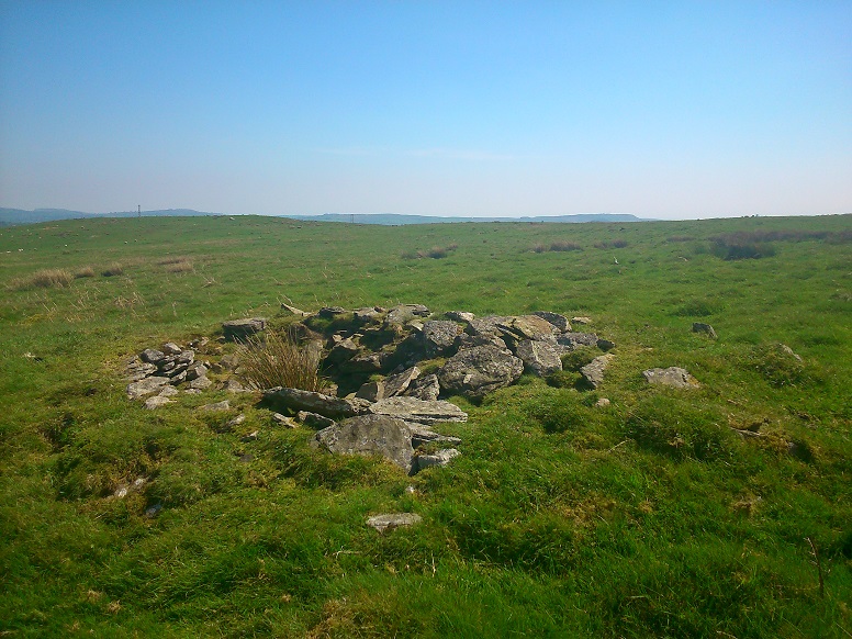 Mynydd Y Capel Cairnfield