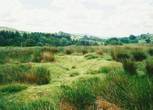 Click for the gallery page to add comments and vote (PID:102489) Blaen Hepste