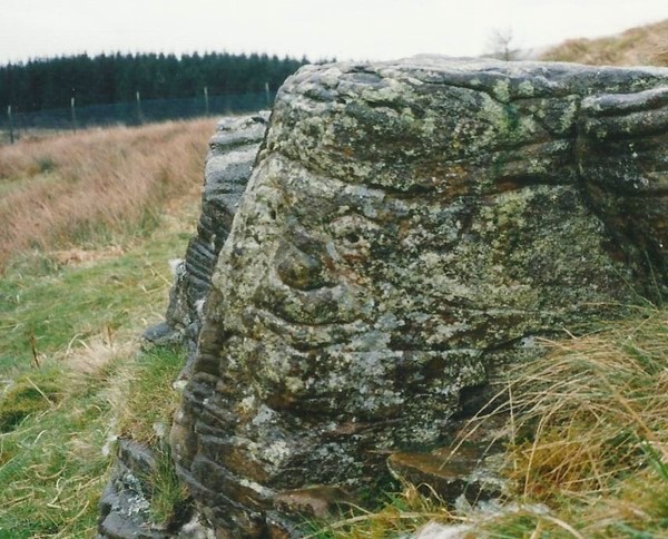 Mynydd Y Gelli