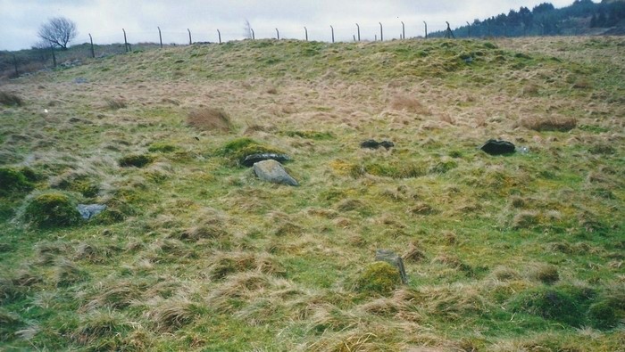 Mynydd Y Gelli
