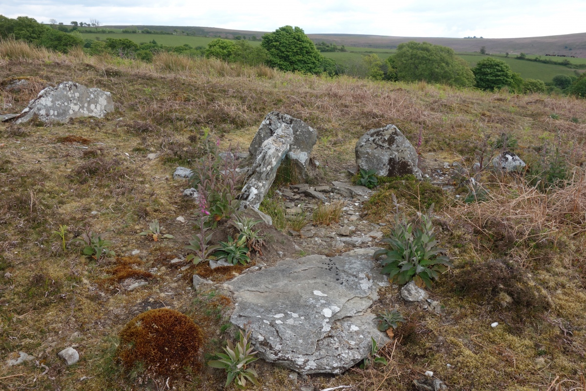 Graig Fawr