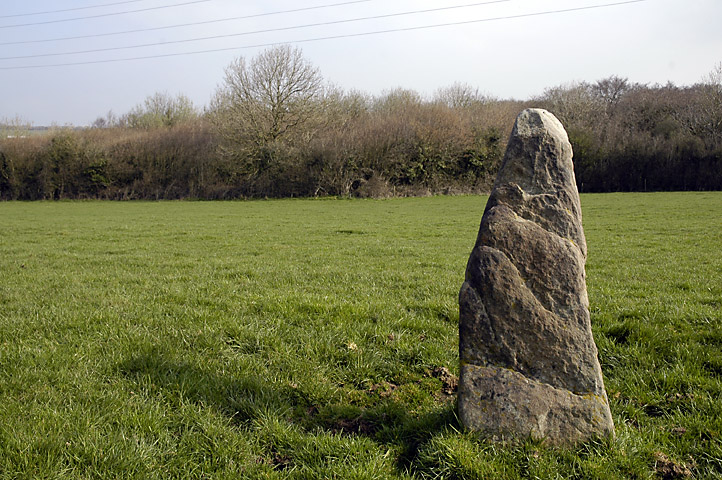 Click for the gallery page to add comments and vote (PID:47163) Ty Du Stone or Scratching Post?