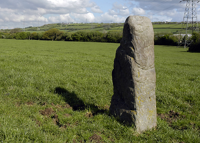 Click for the gallery page to add comments and vote (PID:47166) Ty Du Stone or Scratching Post?