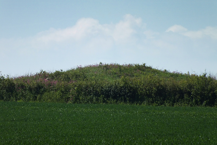 Click for the gallery page to add comments and vote (PID:90055) Mynydd Herbert