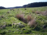 Rhyd Blaen-Y-Cwm Enclosure - PID:27617