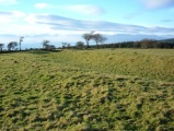 Ton-Mawr Hill Fort - PID:27614