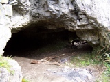 Cat Hole Cave - PID:38264