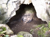 Cat Hole Cave - PID:38266
