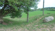 Graig Llwyn Iron Age Fort - PID:165498