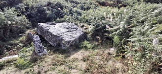 Penmaen Burrows - PID:311498