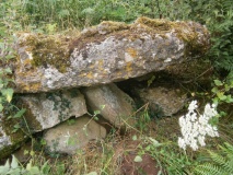 Coity