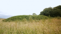 Tythegston