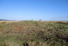 Bryn-Y-Wrach