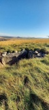 Tarren Maerdy Cairn 1
