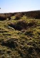 Carn-Y-Celyn - PID:221468