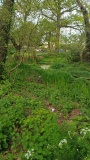Ffynnon Llandennis - PID:304143 Ffynnon Llandennis - PID:304143