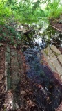 Ffynnon Llandennis - PID:304144 Ffynnon Llandennis - PID:304144